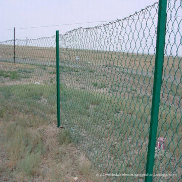 Chain Link Wire Mesh Fencing, PVC Coated Chain Link Fences